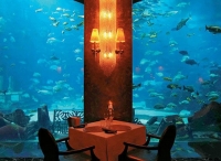迪拜海底餐厅 沉没在海底的饕餮盛宴