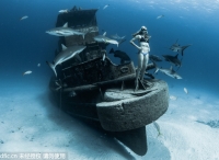 女潜水员探秘海难船只残骸 与鲨鱼共舞