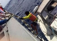 厦门中远海运宁安城轮成功营救一外籍帆船