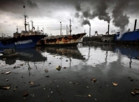 船舶港口污染致东亚每年2.4万人早死！