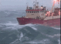 关于内河船非法参与海上运输的危害性，你了解多少？
