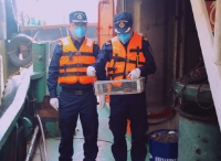 佛山海关驻顺德办事处在入境船舶上截获携带汉坦病毒的活鼠