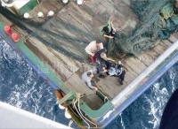 船员海上突发肾结石 温州出动直升机紧急救援