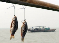 菲将释放12名中国渔民曾以非法捕鱼罪被判6-12年