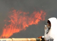 智利遭野火侵袭上百座房屋被毁 至少19人伤