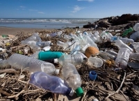 联合国秘书长:2050年海洋塑料垃圾总重或超鱼类