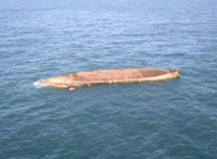 英吉利海峡一艘82米货船与渔船碰撞后倾覆