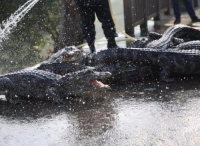 澳大利亚一渔民船在鳄鱼栖息区搁浅 两天后获救