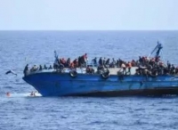关注 | 又又又是难民船！又又又是船长被调查！