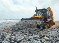 海岸上全是塑胶颗粒！集装箱船爆燃造成斯里兰卡严重环境灾难