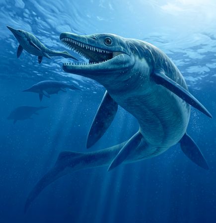 T.saurophagis属于早期鱼龙物种，生活在距今2.44亿年前的三叠纪时期。体长至少28英尺，有公共汽车般大小。