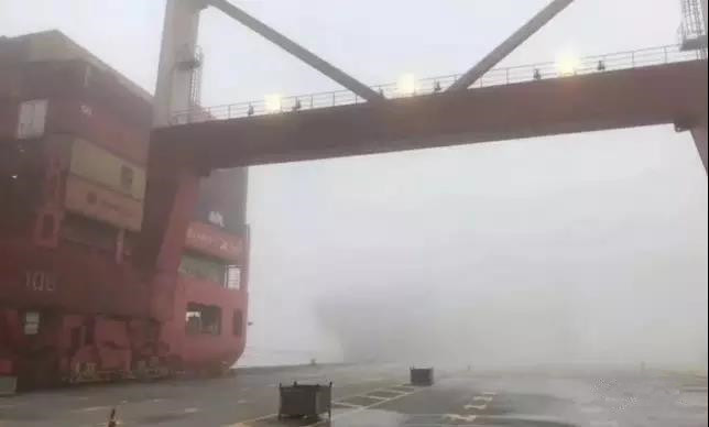 一级警报！又双叒封航了！浓雾再度侵袭上海港，众多船舶延期！